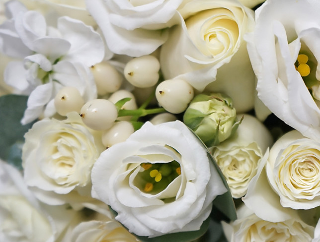 Bride's bouquet of white roses, eustoma, dianthus, mathiola, hypericum, and eucalyptus photo